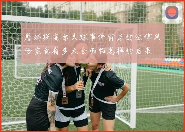 詹姆斯高尔夫球事件背后的法律风险究竟有多大会面临怎样的后果